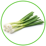green onion