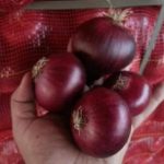 img 20260227 wa0022