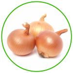 white onion